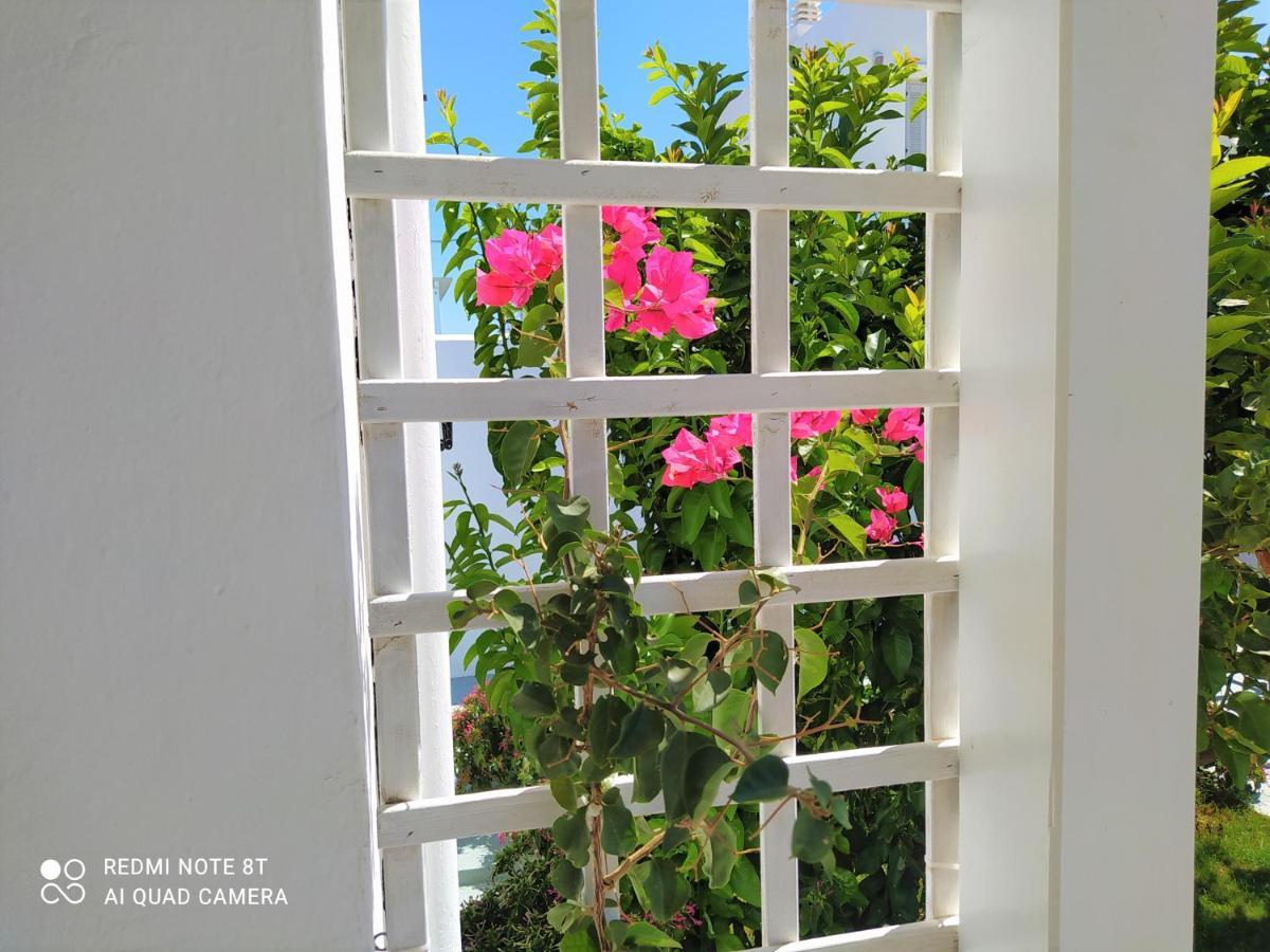 Geoni'S Villa & Garden Spa Apollonia  Luaran gambar